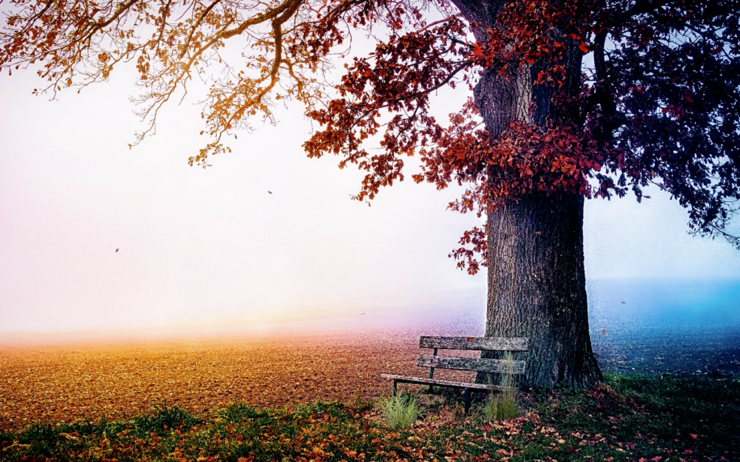 Da igual la Edad que tengas