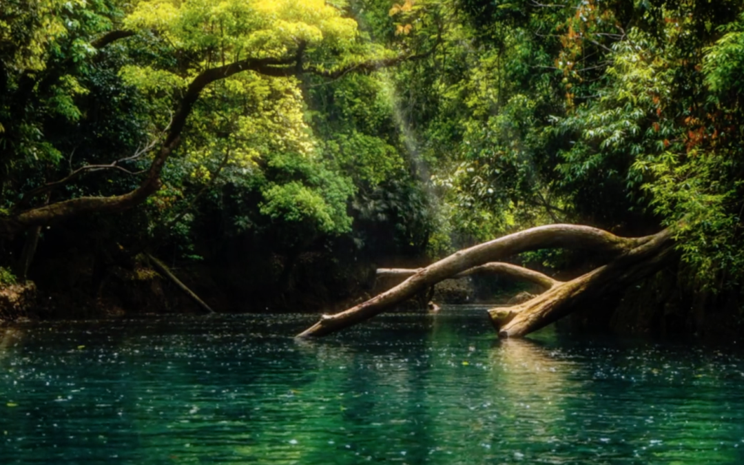 Te Quiero tanto que tengo Miedo