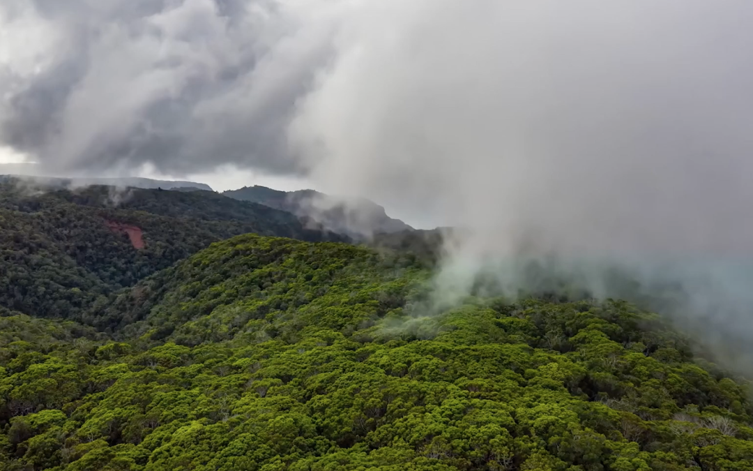 Amor es… de Dulce María Loynaz