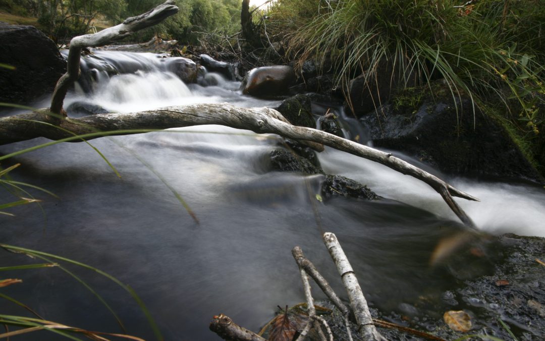 Río… raudal indispensable