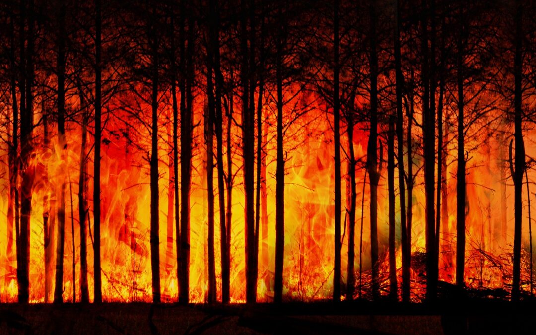 ¡SE NOS QUEMÓ…! Nunca MÁS Incendios, MÁS Medios