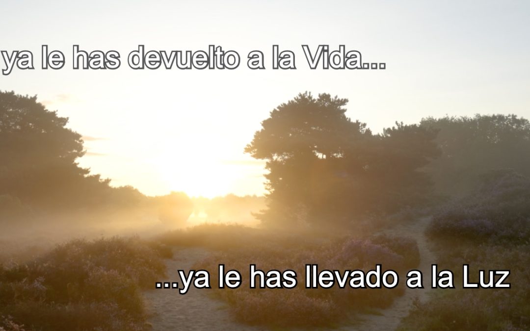 La Muerte No es el Final